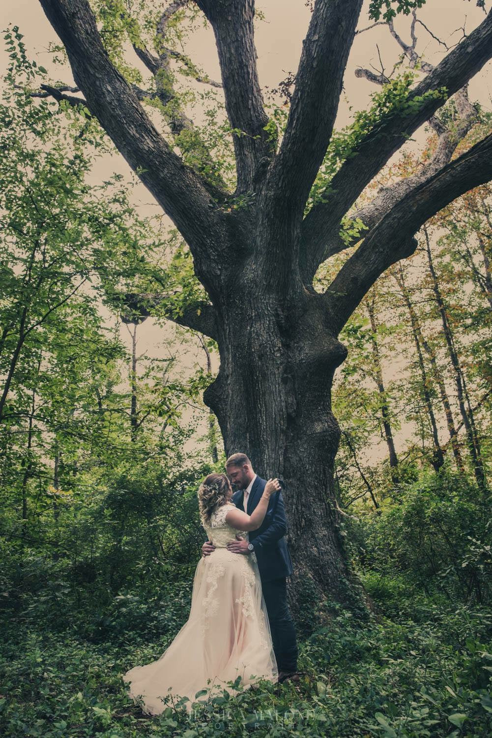 Amanda's Enchanted Forest Wedding | Korynne