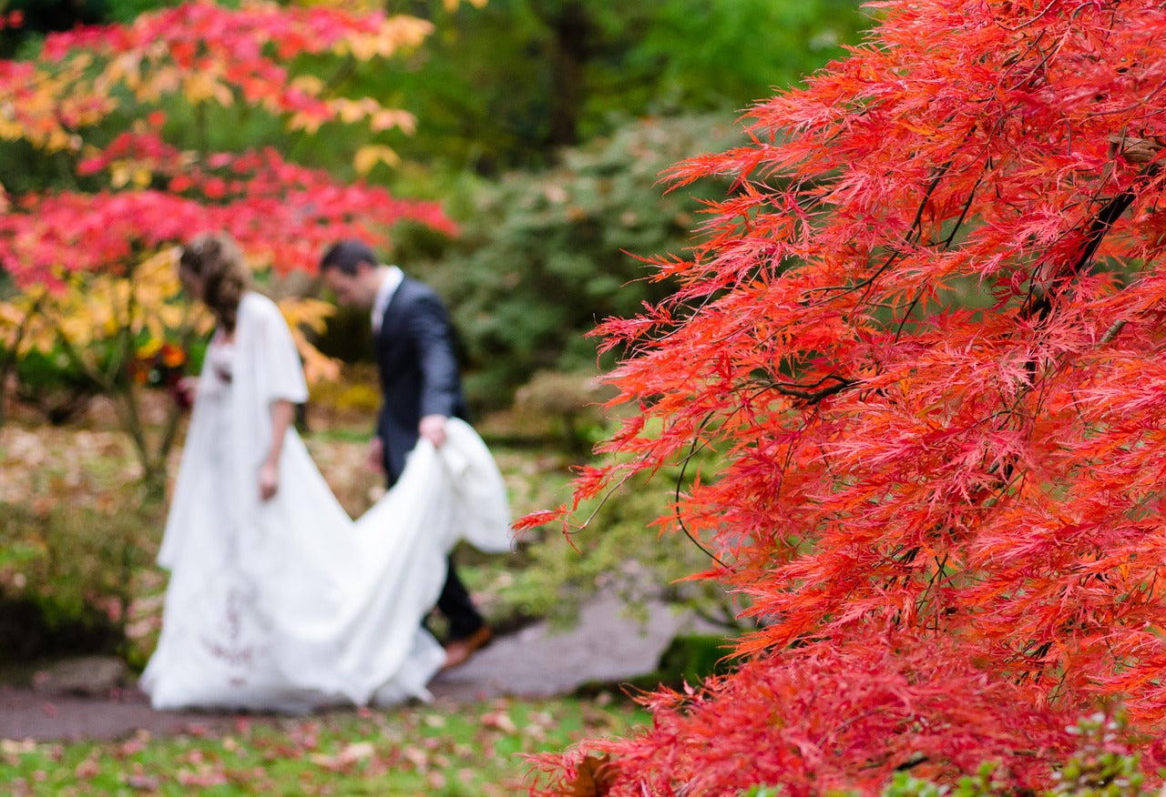Romantic Autumn Wedding Inspiration