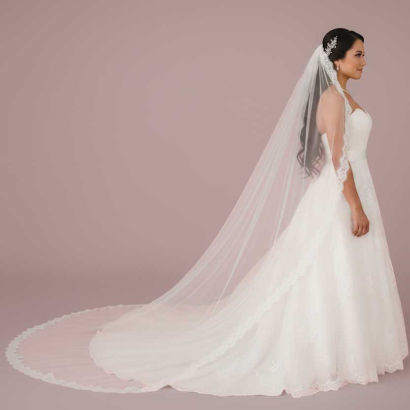Eye Lash Lace Trim Edge Cathedral Length Wedding Veil VG1005
