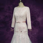 Blush Long Sleeves Lace Wedding Dress with Drop Waist GENELLE