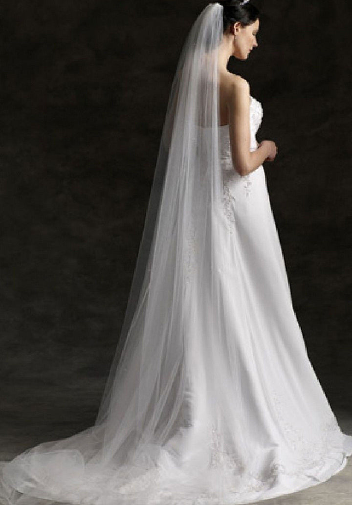 Simple Tulle Chapel & Cathedral Length Veil With Raw Edge VG1030