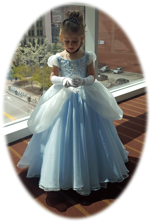 Girl Cinderella Ball Gown Party Dress ELLY
