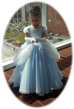 Girl Cinderella Ball Gown Party Dress ELLY