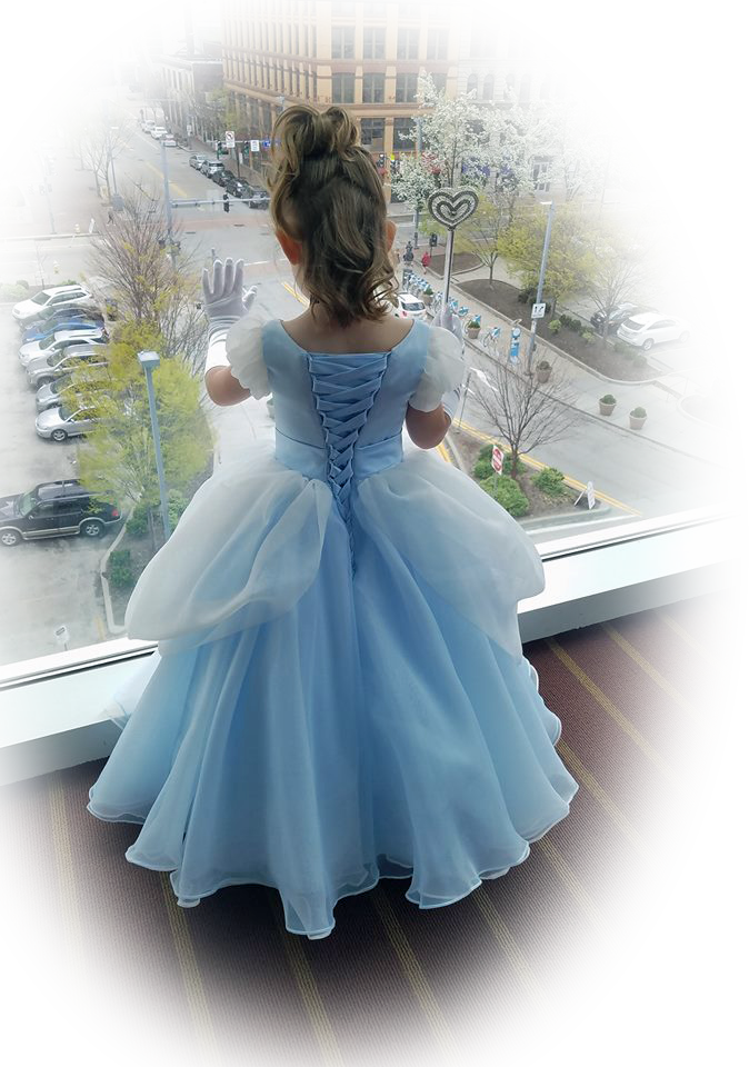 Girl Cinderella Ball Gown Party Dress ELLY