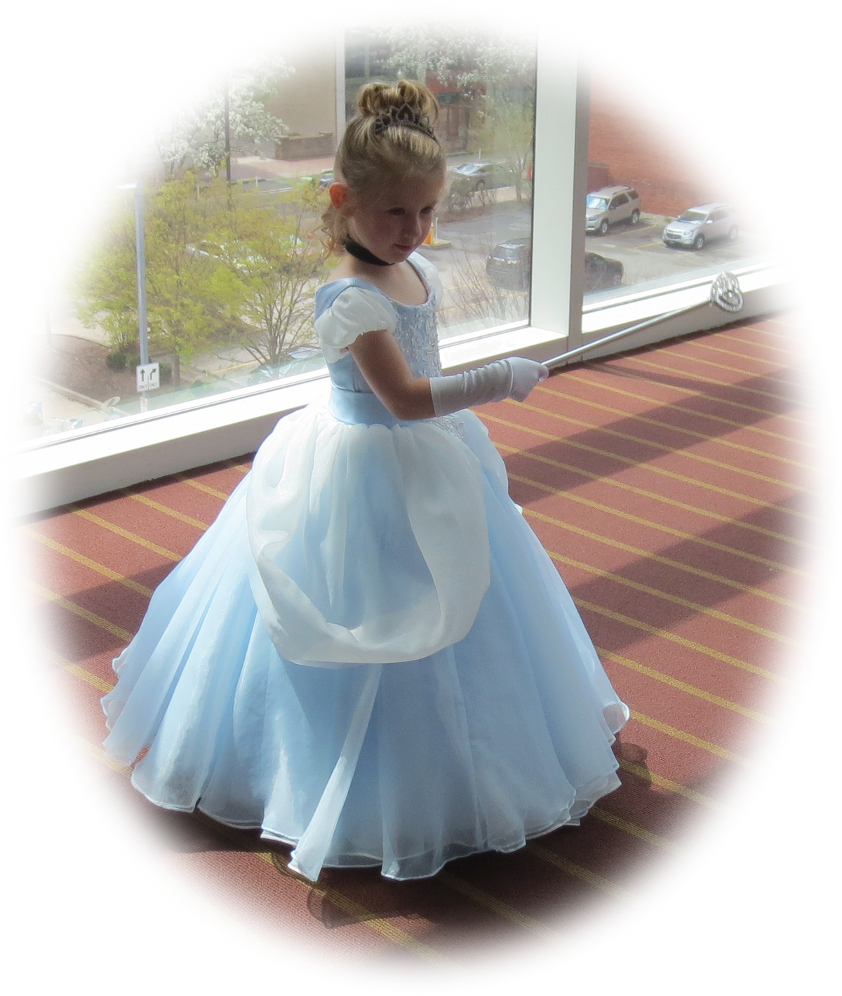 Girl Cinderella Ball Gown Party Dress ELLY