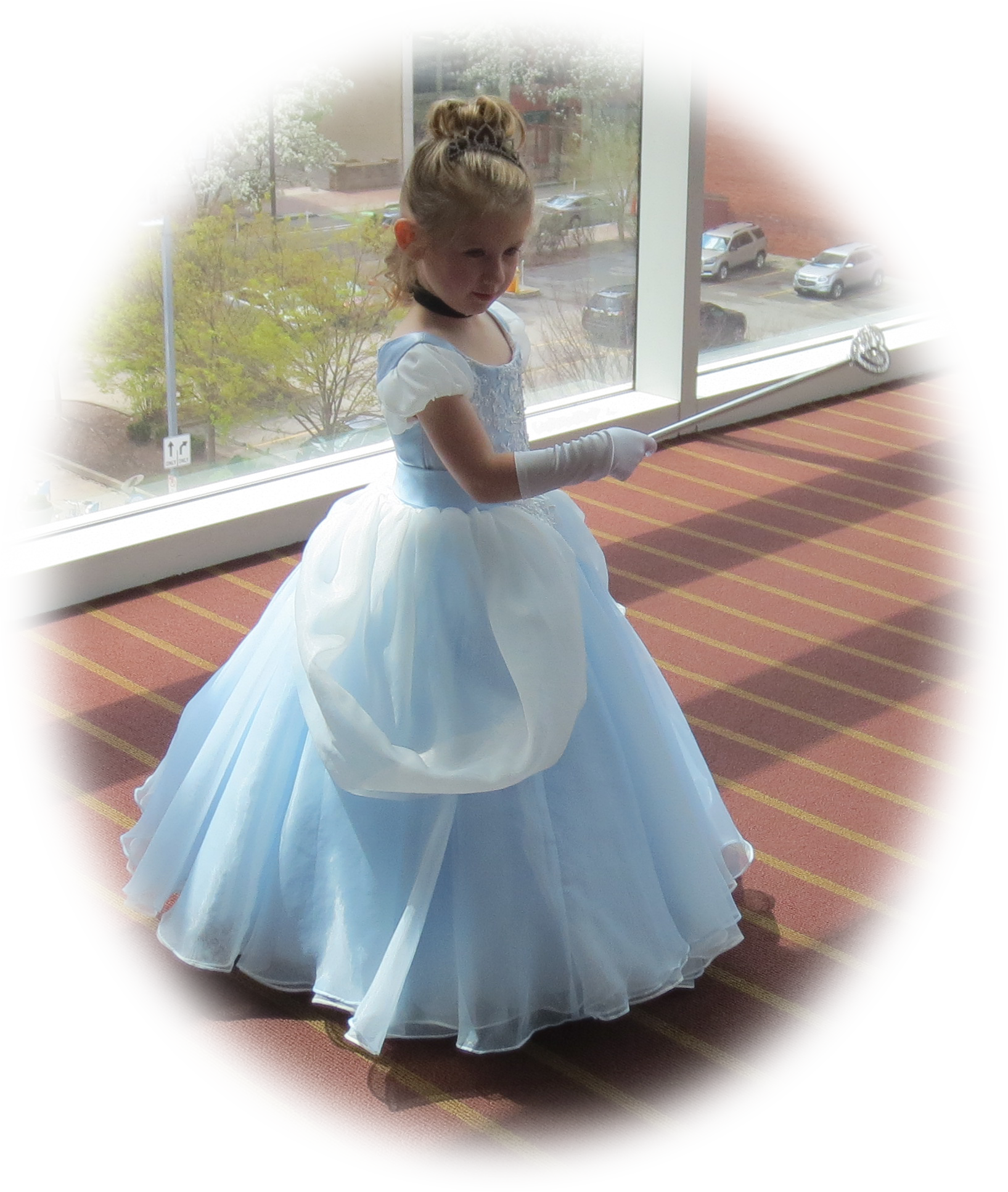 Girl Cinderella Ball Gown Party Dress ELLY