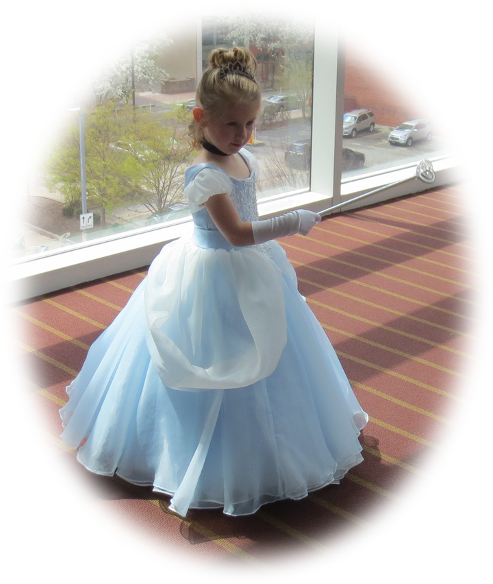 Girl Cinderella Ball Gown Party Dress ELLY