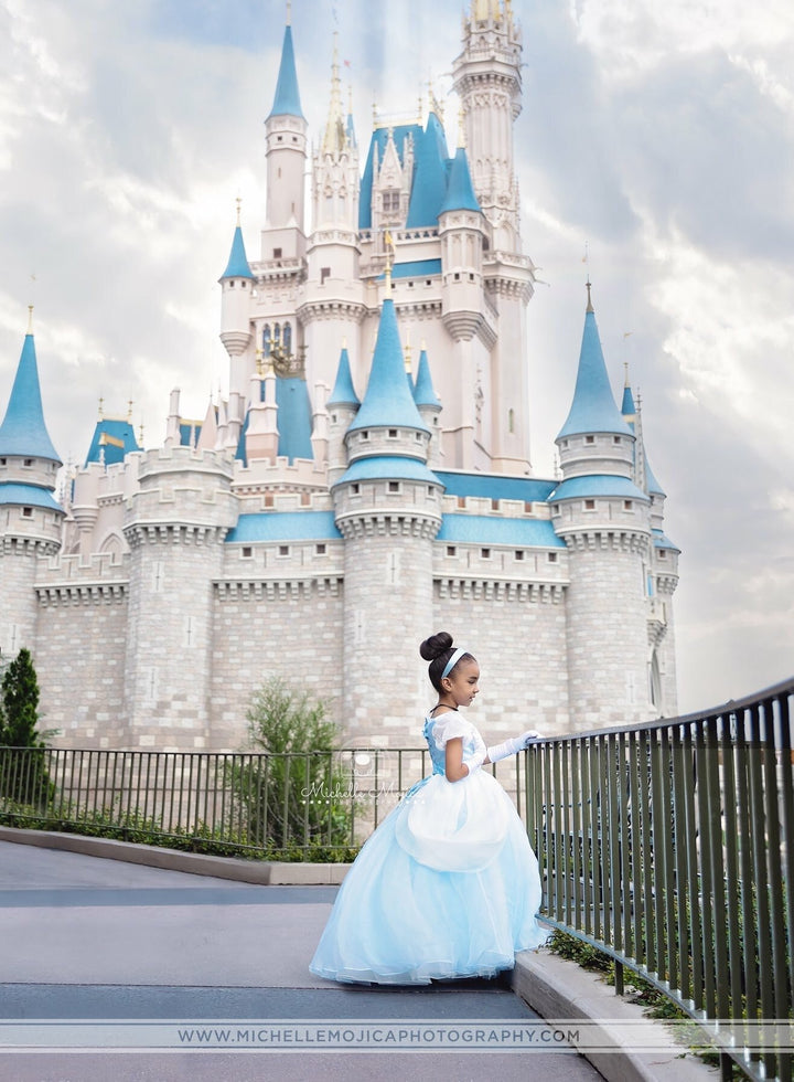 Girl Cinderella Ball Gown Party Dress ELLY